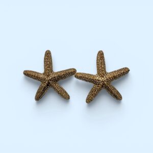 Pendiente Estrella de Mar